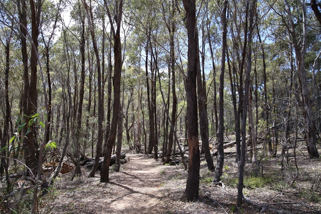 Berlang campground | Big Hole Marble Arch Walk, Krawarree NSW 2622, Australia | Phone: (02) 4476 0800