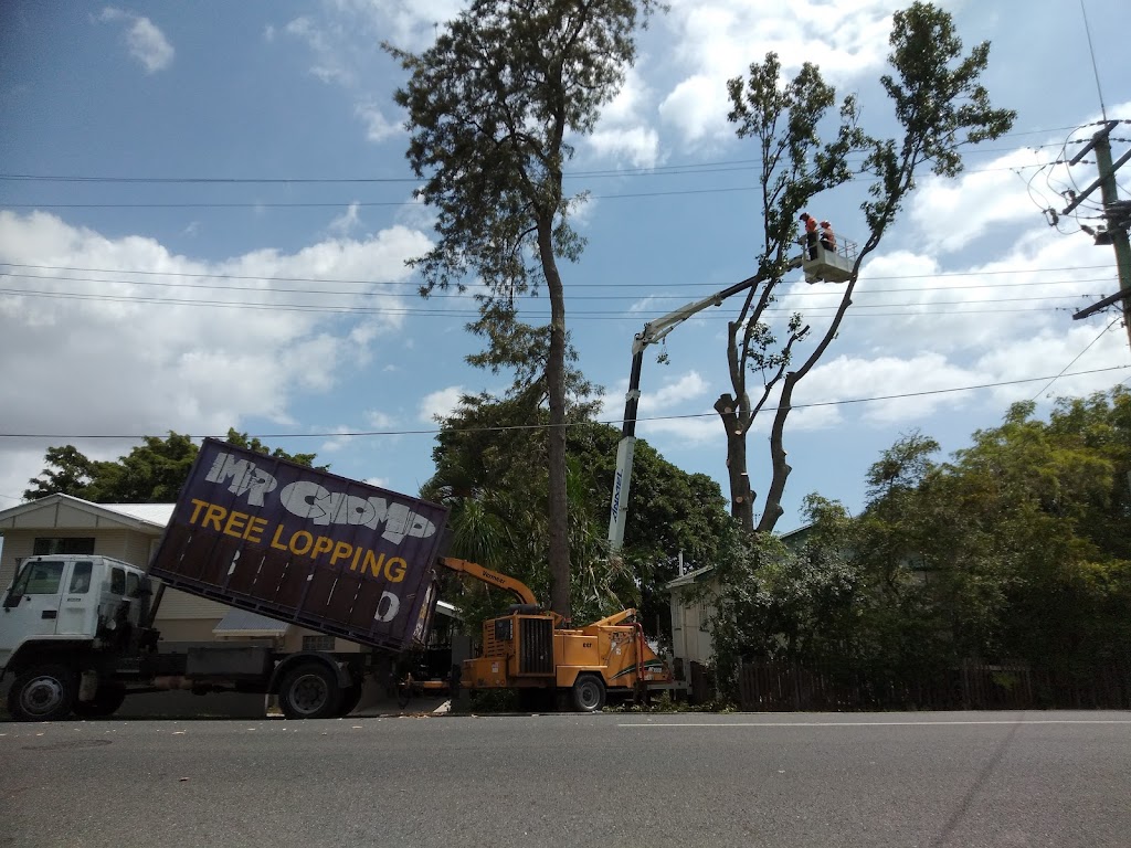 Mr Chomp tree lopping | general contractor | 170 Archer St, Gumdale QLD 4154, Australia | 0408459192 OR +61 408 459 192