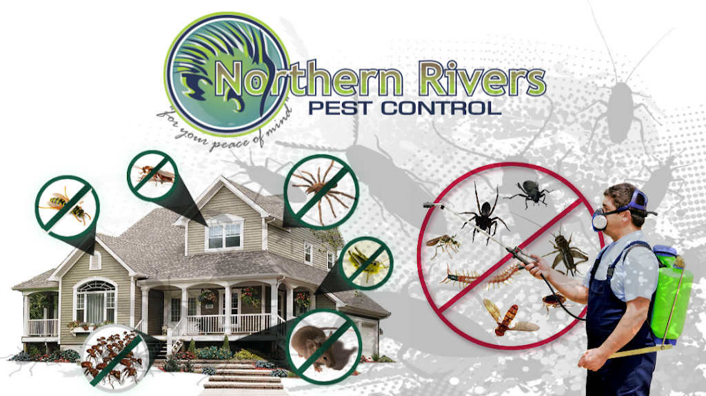 Northern Rivers Pest Control | home goods store | 32 Surry St, Coraki NSW 2471, Australia | 0266832458 OR +61 2 6683 2458