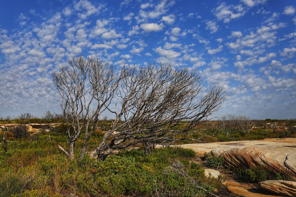 Cape Solander Lookout | tourist attraction | Cape Solander Dr, Kurnell NSW 2231, Australia | 0296682010 OR +61 2 9668 2010