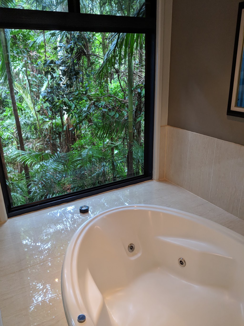 Pethers Rainforest Retreat | 28B Geissmann St, Tamborine Mountain QLD 4272, Australia | Phone: (07) 5545 4577