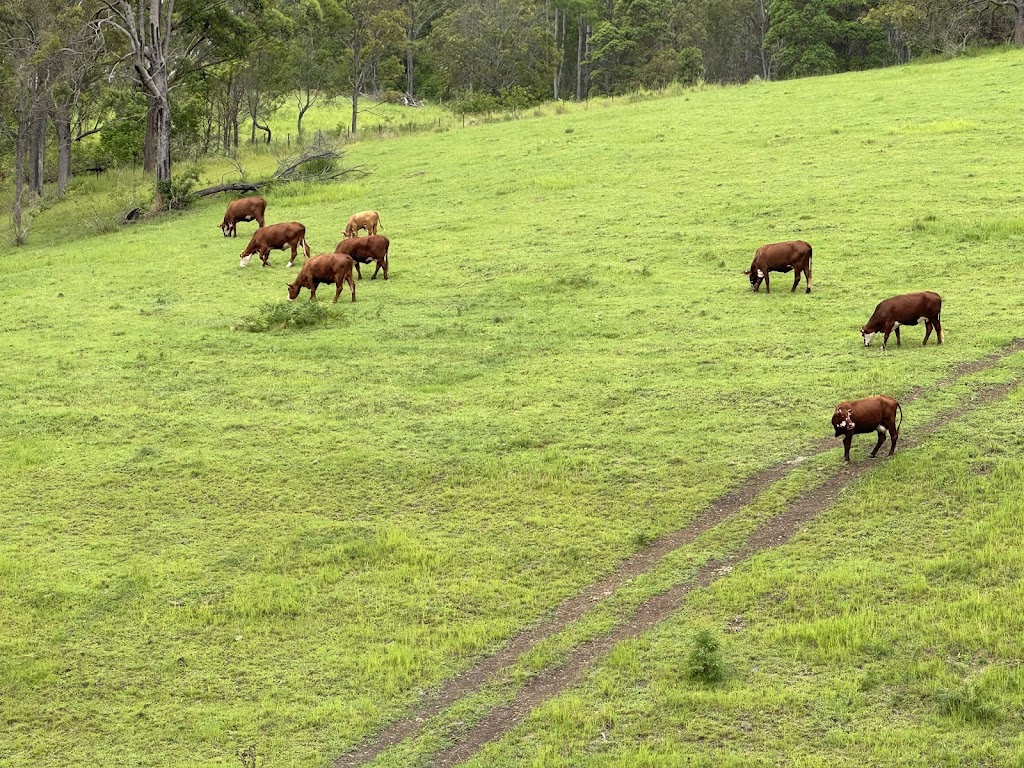 Yeoman Farm Stay | Bennetts Road, Nymboida NSW 2460, Australia | Phone: 0439 363 263