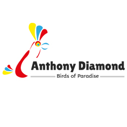 Birds of Anthony Diamond | 40 Stimson street Smithfield, Smithfield, NSW, Smithfield NSW 2164, Australia | Phone: 0422 355 453