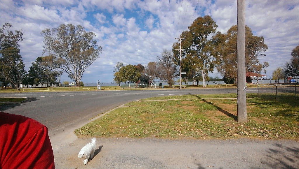 Purtle Park | park | 50 Melbourne St, Mulwala NSW 2647, Australia