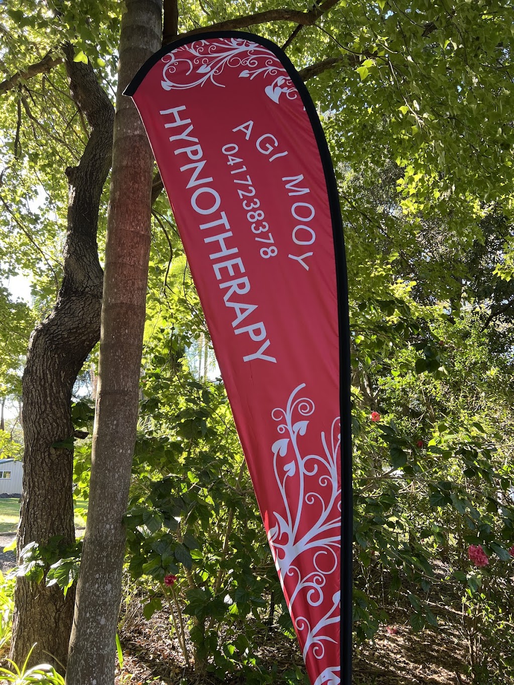 Agi Mooy Hypnotherapy | 17 Rookes Rd, Salt Ash NSW 2318, Australia | Phone: 0417 238 378