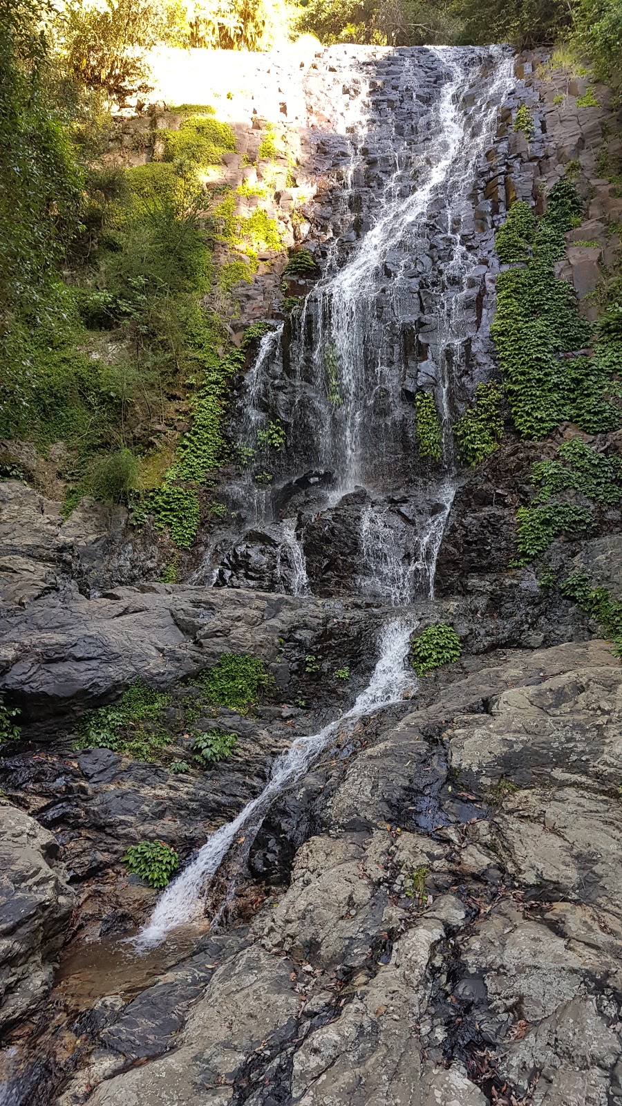 Crystal Shower Falls | 142 Dome Rd, Dorrigo Mountain NSW 2453, Australia