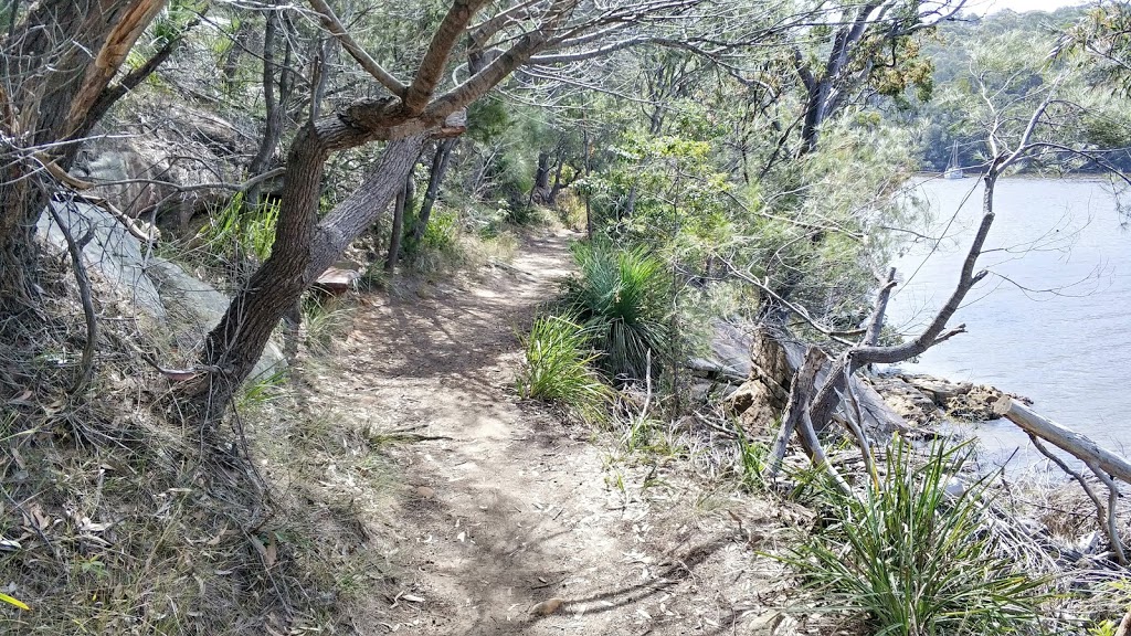 Harold Reid Reserve | park | Middle Cove NSW 2068, Australia | 0297771000 OR +61 2 9777 1000