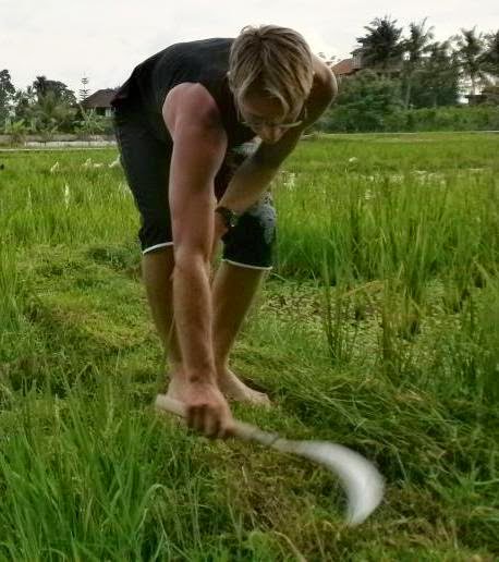 Permaculture Tools | 409 Hawthorne Rd, Bulimba QLD 4171, Australia | Phone: 0404 887 452