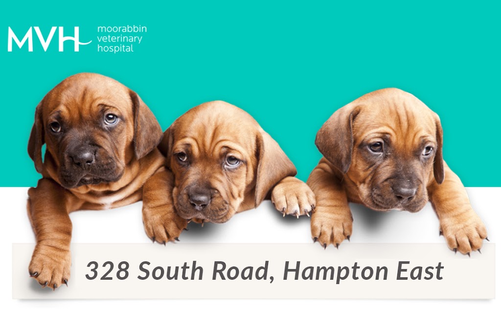 Moorabbin Veterinary Hospital | 328 South Rd, Hampton East VIC 3188, Australia | Phone: (03) 8613 3412