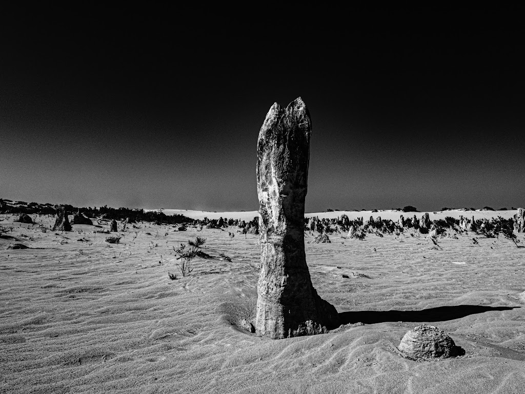 The Pinnacles Desert | tourist attraction | Pinnacles Dr, Cervantes WA 6511, Australia | 0896527913 OR +61 8 9652 7913