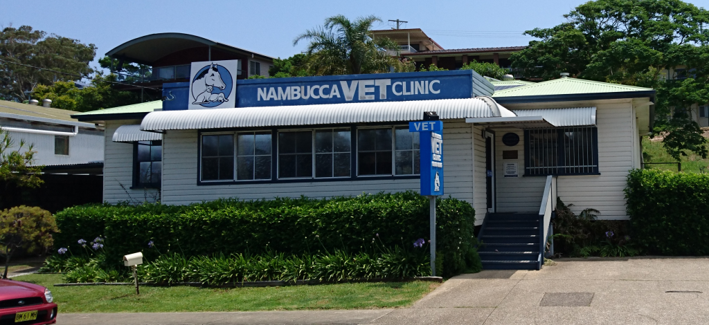 Nambucca Veterinary Clinic | veterinary care | 5 Beer Parade, Nambucca Heads NSW 2448, Australia | 0265686666 OR +61 2 6568 6666