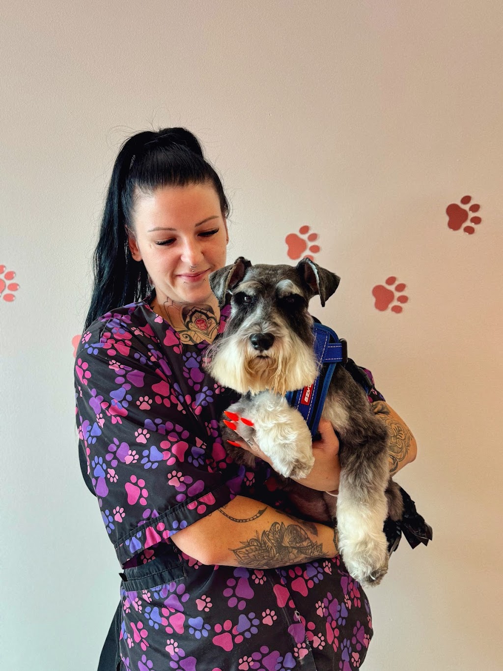 Pamper Palace | 3A Kingfisher Ln, Woodberry NSW 2322, Australia | Phone: 0435 832 293