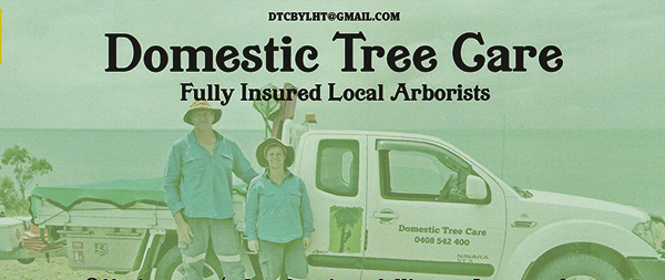 Domestic Tree Care Fraser Coast | 5 Jenny Ct, Point Vernon QLD 4655, Australia | Phone: 0408 542 400