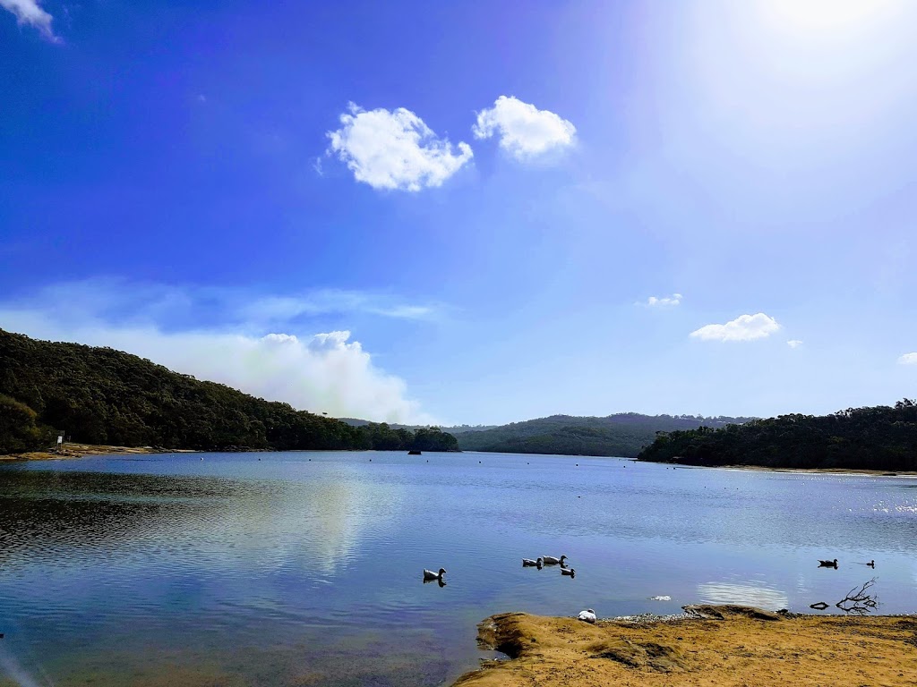 Walking Track to Manly Dam | park | Manly Vale NSW 2093, Australia