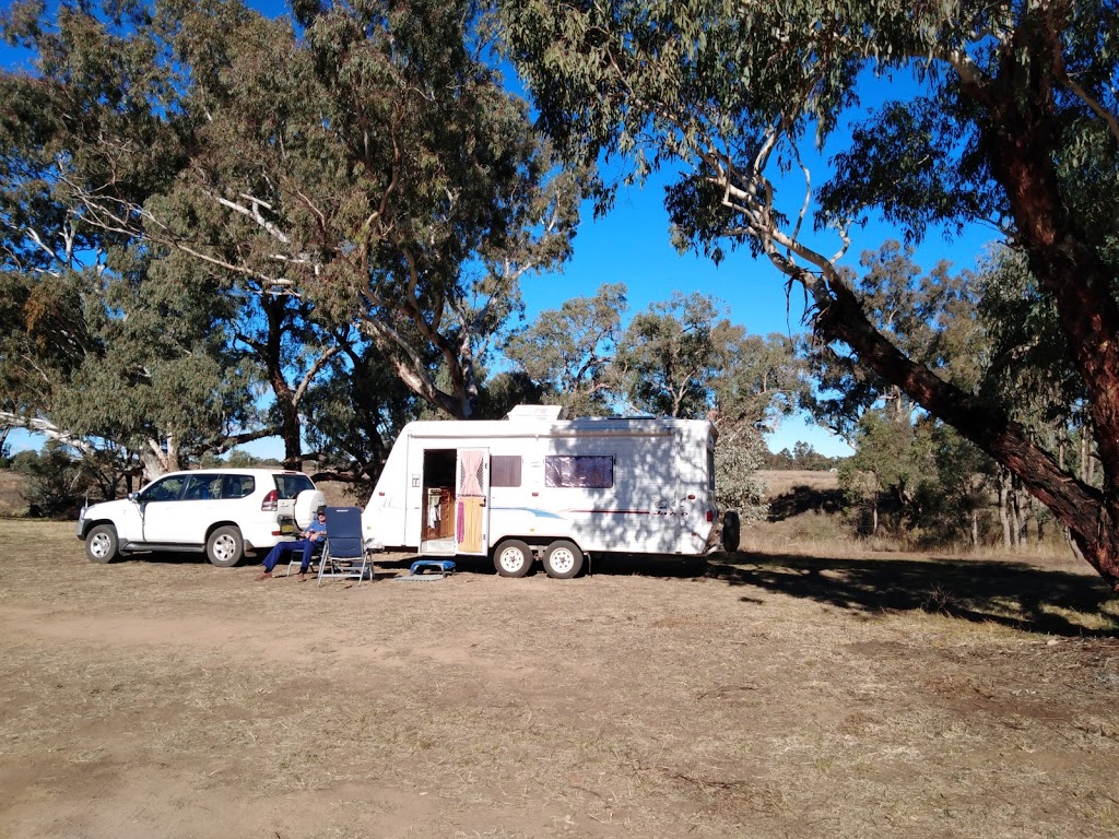 Mendooran Free Camp | rv park | River St, Mendooran NSW 2842, Australia