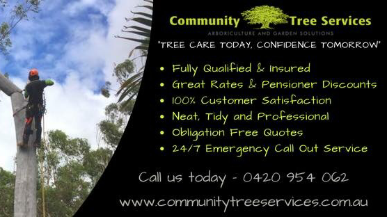 Community Tree Services - Arborists Tree Lopping & Stump Grindin | park | 17 Centenary Rd, Slacks Creek QLD 4127, Australia | 0420954062 OR +61 420 954 062
