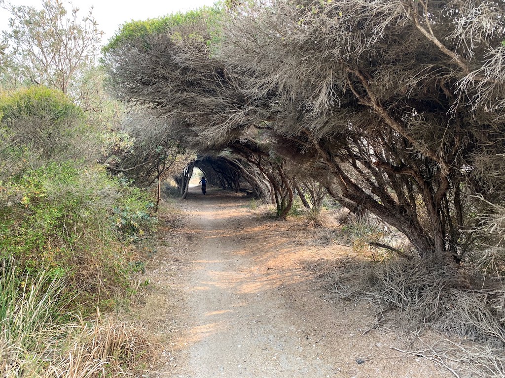 The Grotto | Tilba Rd, Bermagui NSW 2546, Australia