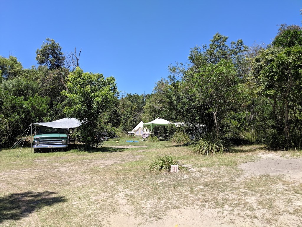 Waves Campground | 954 Point Plomer Rd, Crescent Head NSW 2440, Australia | Phone: (02) 6566 0144