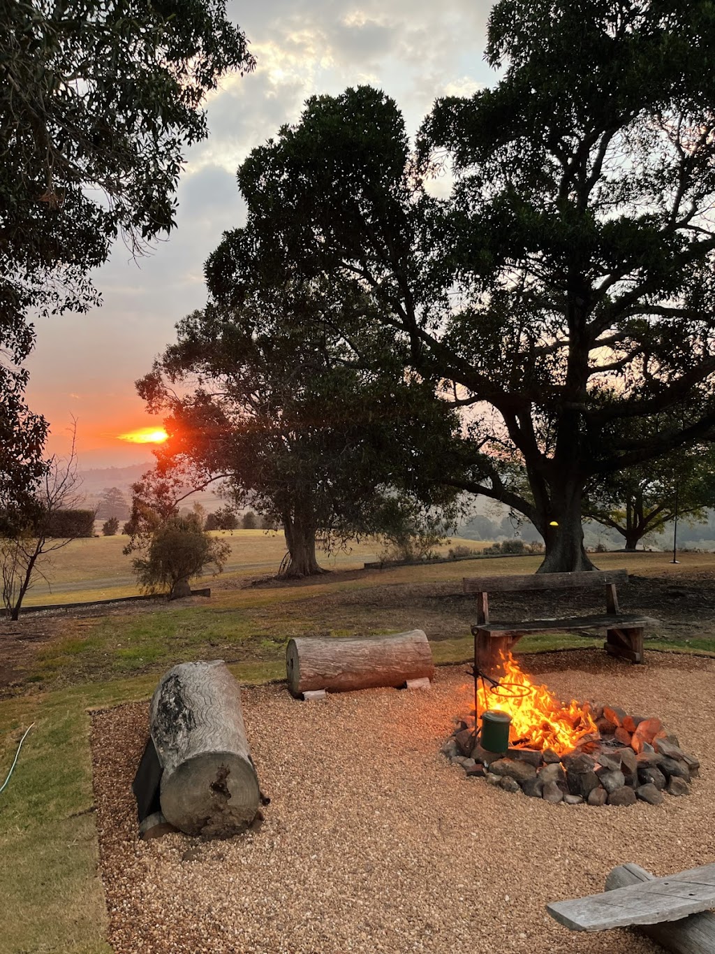 Fig Tree Hill Estate | 305 Sugarloaf Rd, Bunburra QLD 4310, Australia | Phone: 0400 980 166