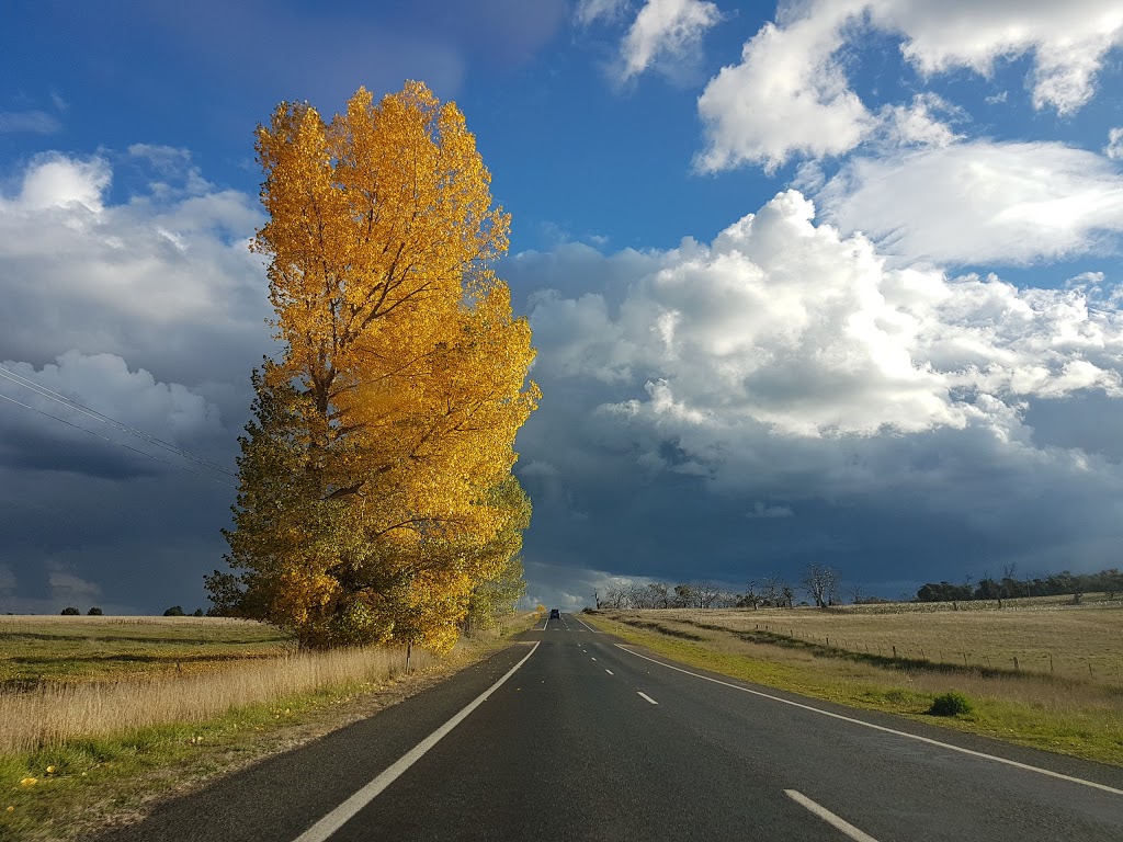 Snowy Mountains Airport | 1611 Kosciuszko Rd, Coolringdon NSW 2630, Australia | Phone: (02) 6452 5999