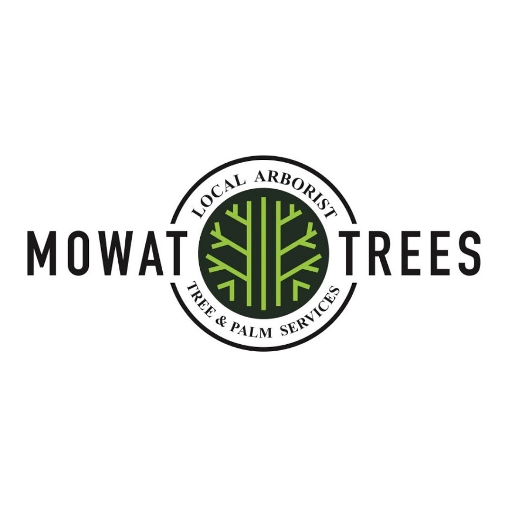 MOWAT TREES | Arborist | Tree & Palm Services | 10 Market St, Carrara QLD 4221, Australia | Phone: 0482 613 537