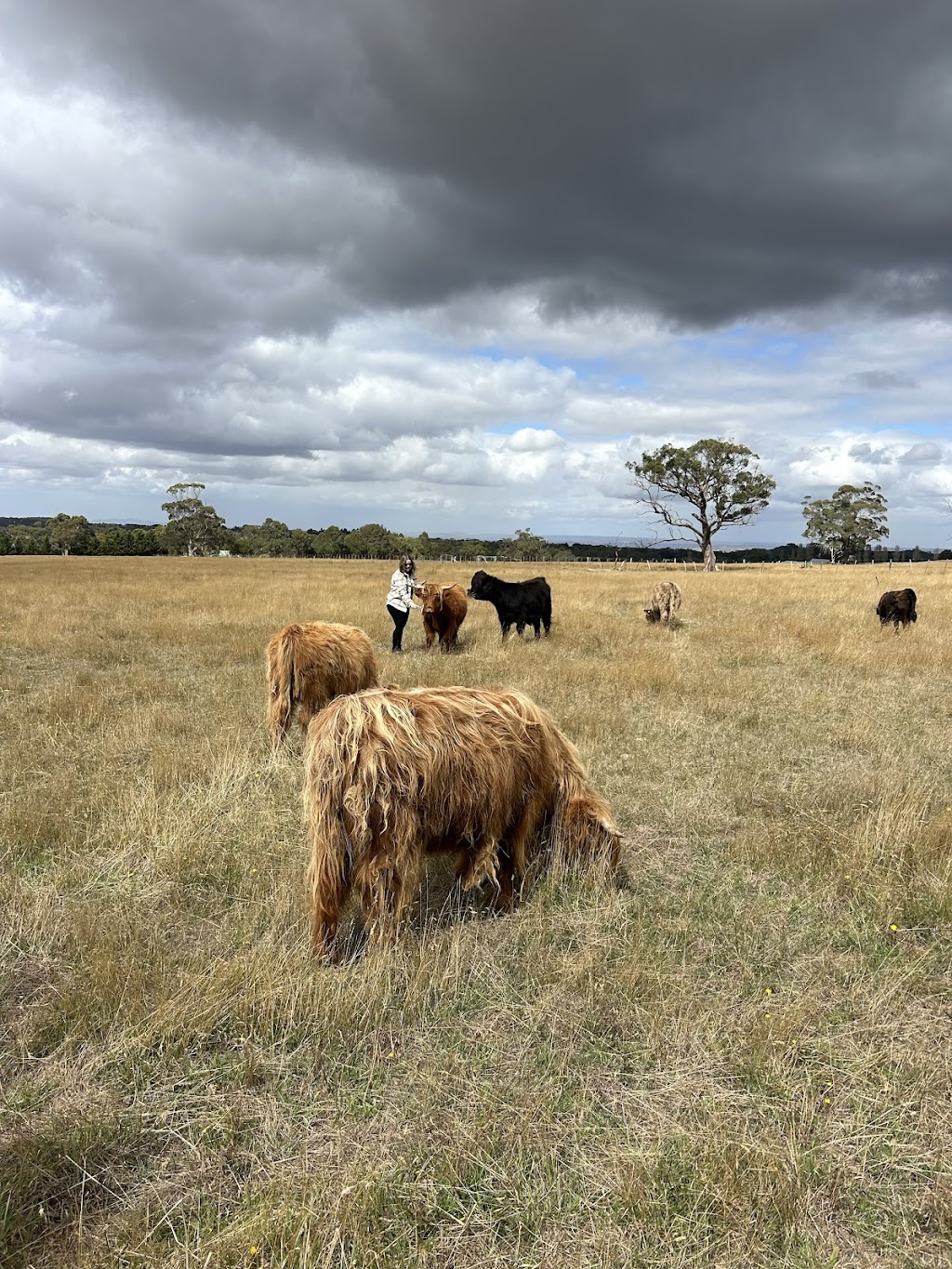 Ballybrook Farm | 602 Couangalt Rd, Gisborne VIC 3437, Australia | Phone: 0409 196 110