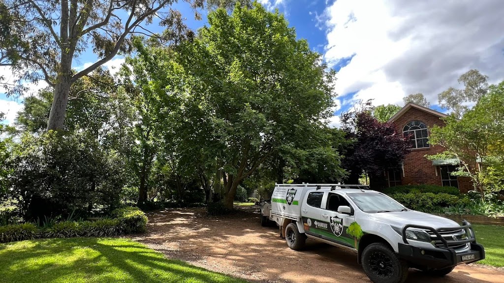 Dubbo Tree Service | 18 Spence St, Dubbo NSW 2830, Australia | Phone: 0424 242 332