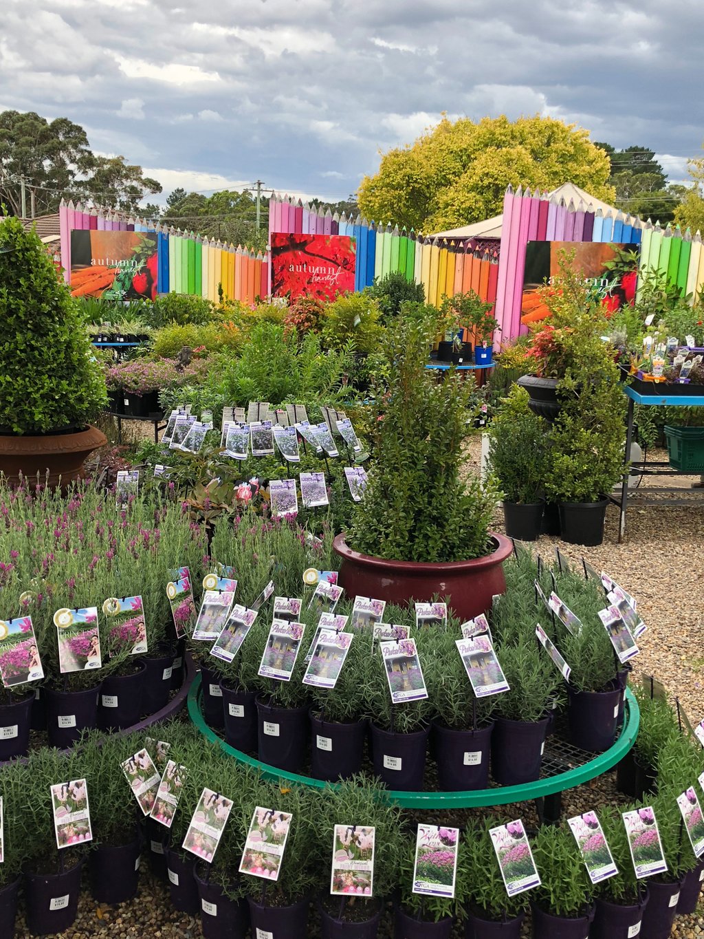 Mittagong Garden Centre | store | 25 Old Hume Hwy, Balaclava NSW 2575, Australia | 0248723900 OR +61 2 4872 3900