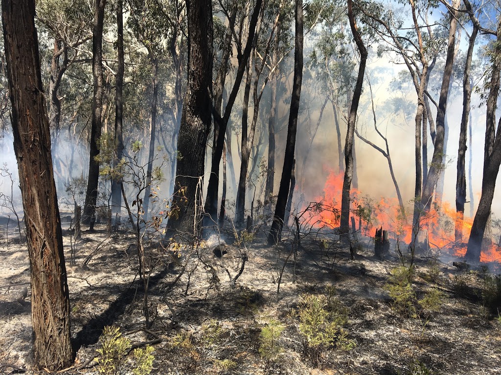 Marulan Rural Fire Brigade | Portland Ave & Goulburn Street, Marulan NSW 2579, Australia | Phone: (02) 4841 1555