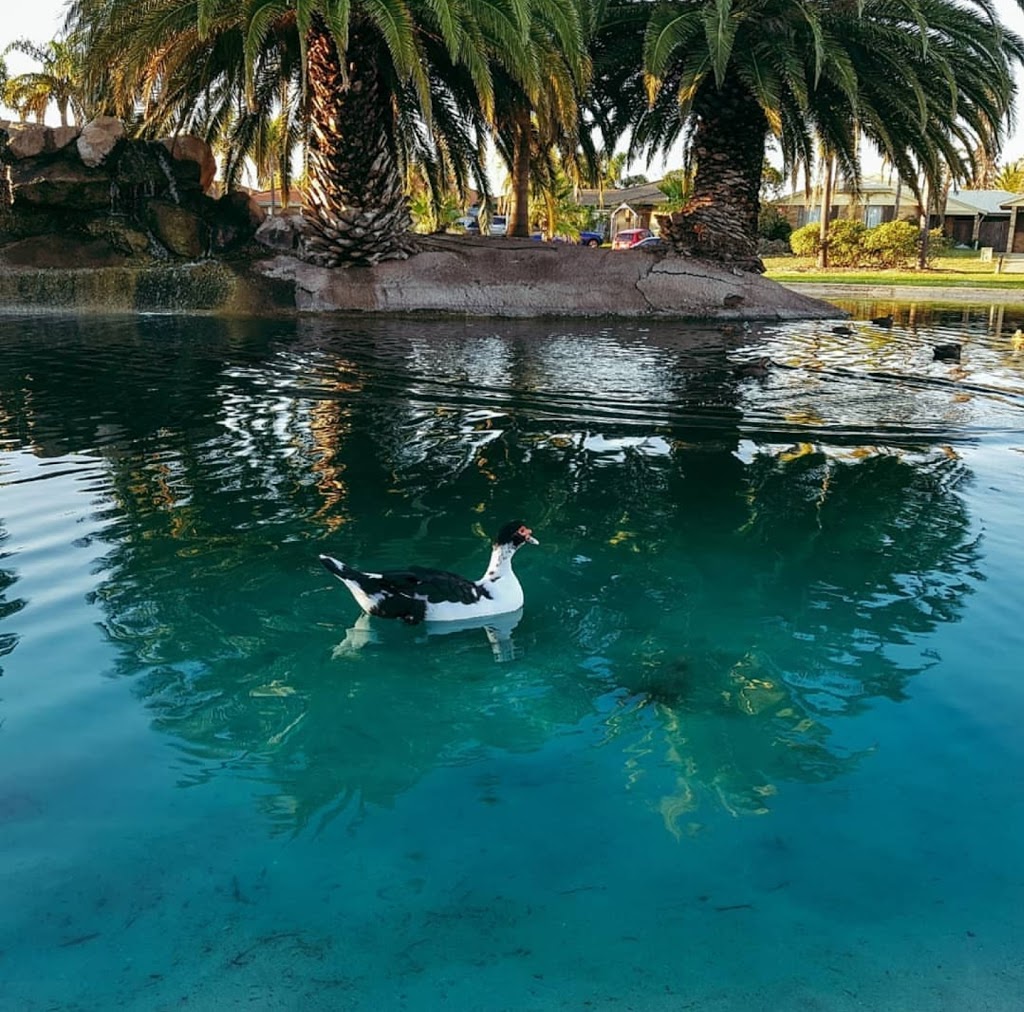 Duck Pond | park | The Avenue, Warnbro WA 6169, Australia