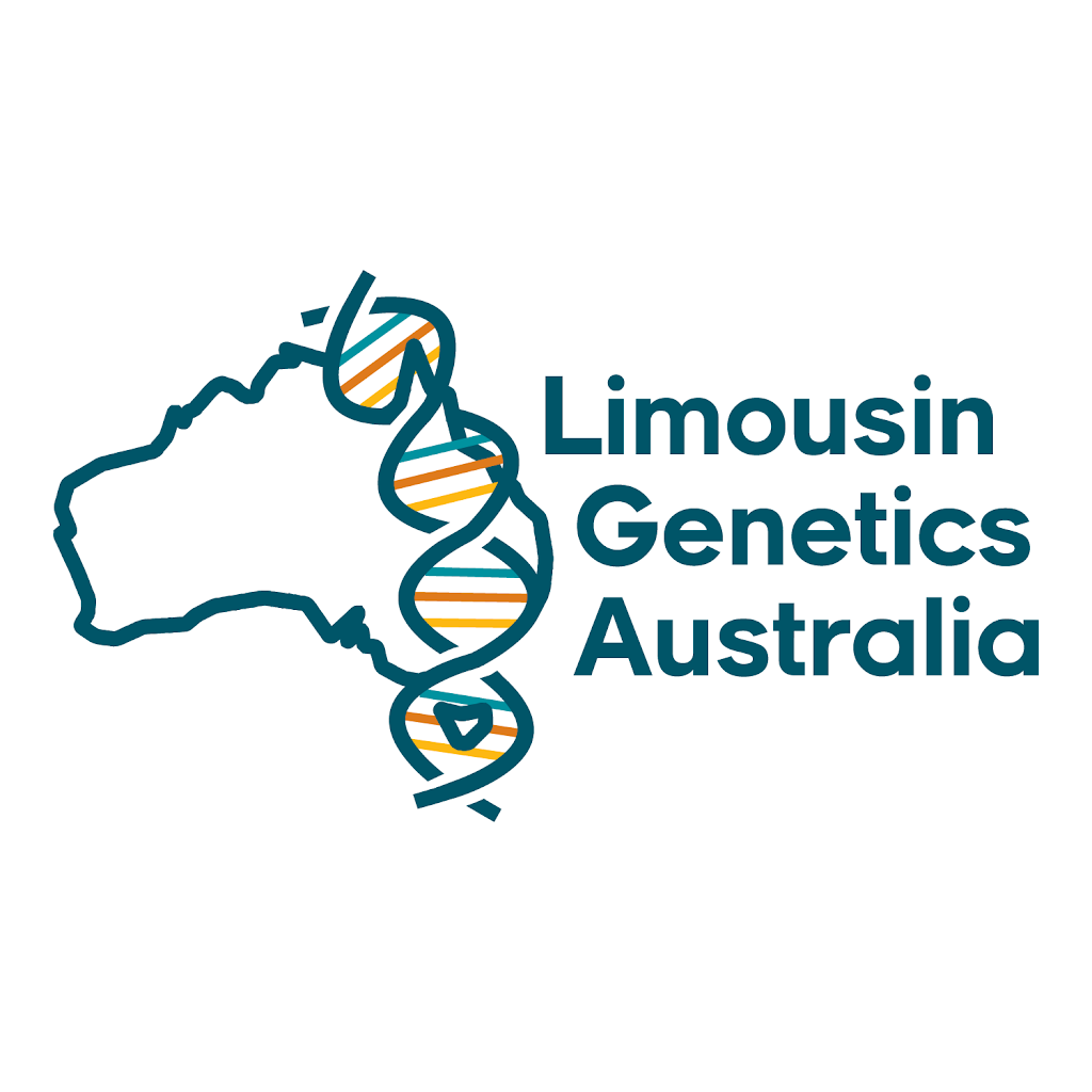 Limousin Genetics Australia | point of interest | 400 Undercliffe Rd, Willsons Downfall NSW 2372, Australia | 0417531364 OR +61 417 531 364