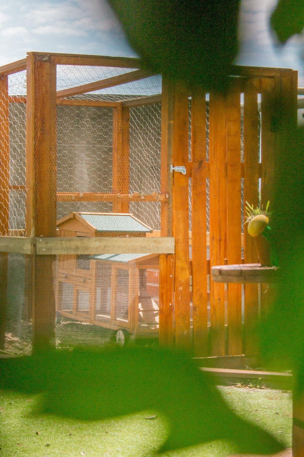 Country Kids Early Learning & Kindergarten | 1279 Stapylton Jacobs Well Rd, Woongoolba QLD 4207, Australia | Phone: (07) 4079 0787