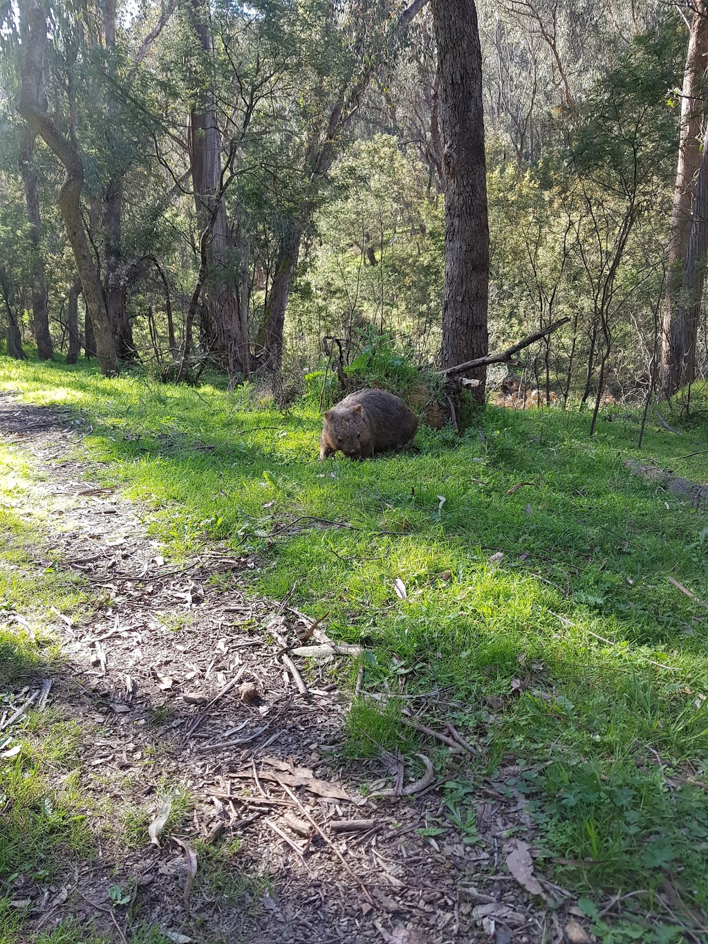 Mount Granya State Park | park | Georges Creek Road, Granya VIC 3701, Australia | 131963 OR +61 131963