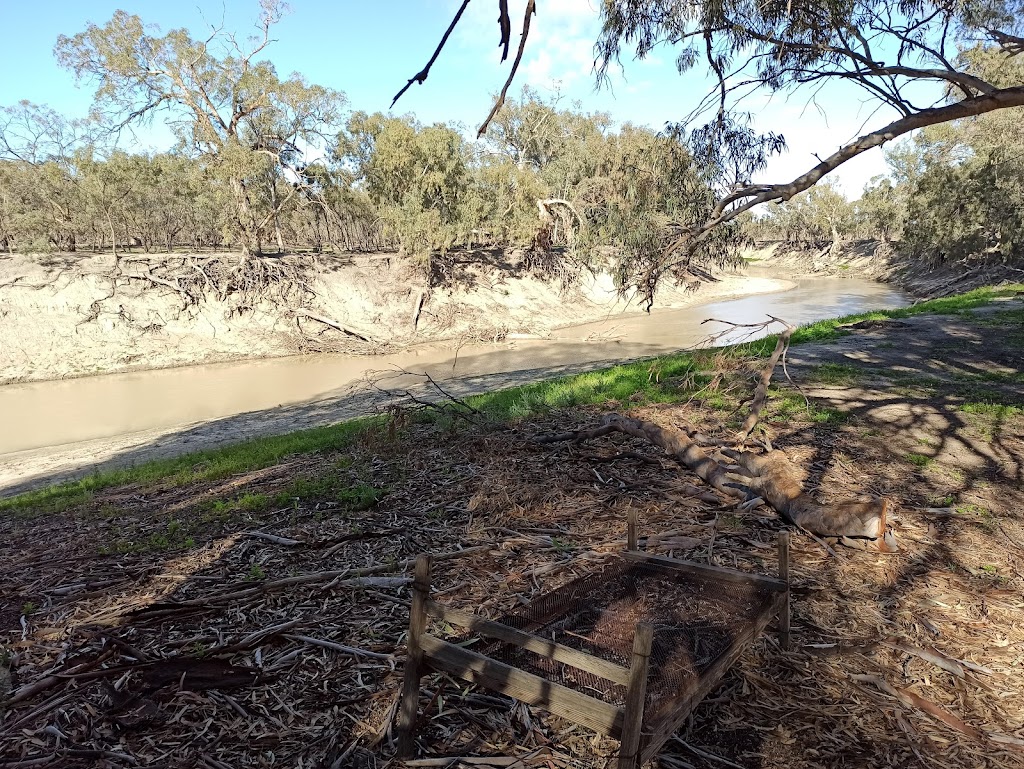 Bindara on the Darling | campground | Bindara, Tandou Rd, Menindee NSW 2879, Australia | 0880917412 OR +61 8 8091 7412