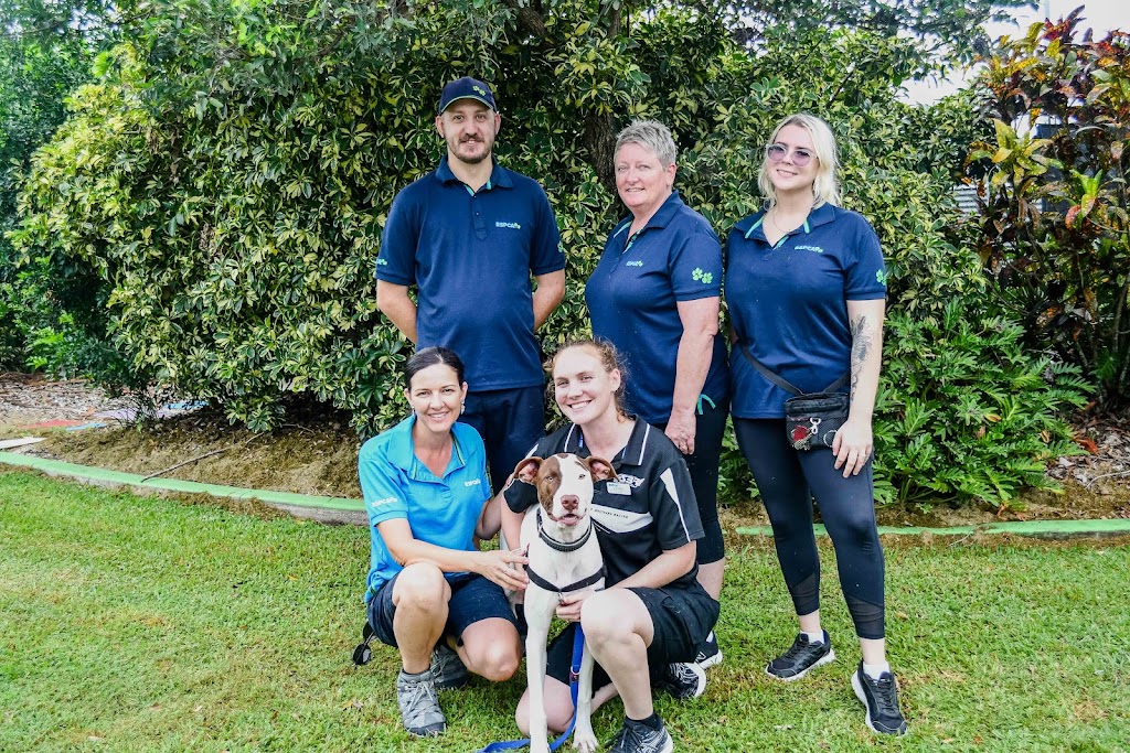 RSPCA Mackay | Mount Bassett Cemetery Rd &, Strickland Rd, Mackay Harbour QLD 4740, Australia | Phone: 0407 787 571