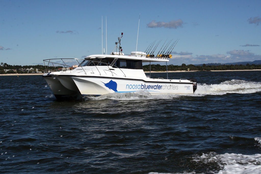 Noosa Bluewater Charters | The Jetty, 186 Gympie Terrace, Noosaville QLD 4566, Australia | Phone: (07) 5449 9355