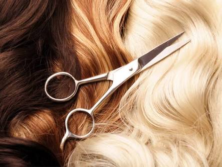 Ragdoll hair and beauty | hair care | 11/2 OConnell St, Parramatta NSW 2150, Australia | 0415557886 OR +61 415 557 886