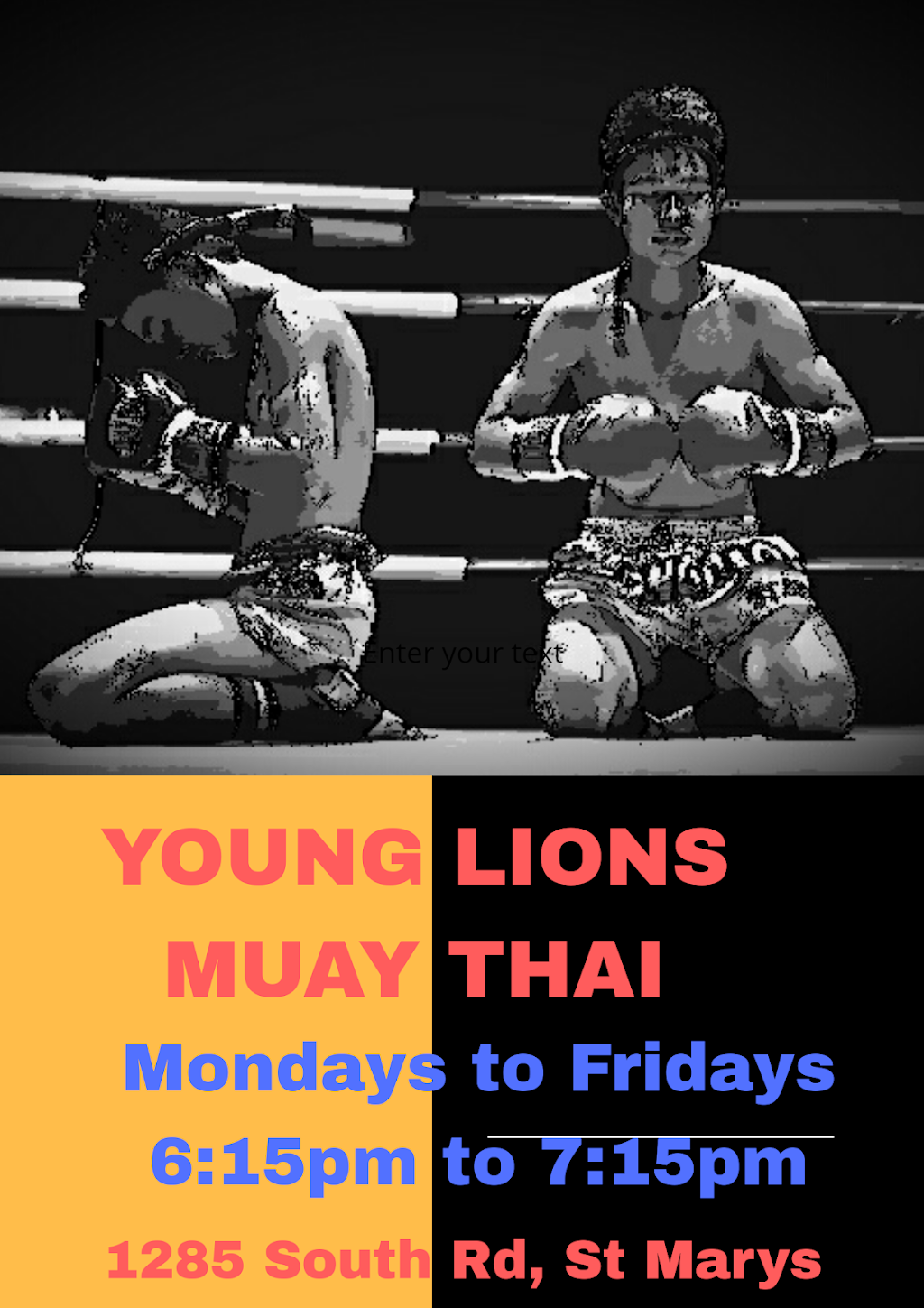 YOUNG LIONS THAIBOXING & FITNESS | gym | 1285 South Rd ST MARYS, Adelaide SA 5041, Australia | 0404796566 OR +61 404 796 566