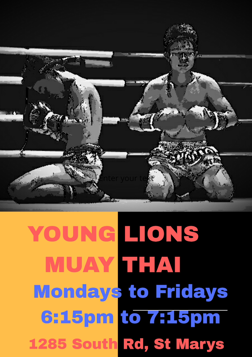 YOUNG LIONS THAIBOXING & FITNESS | 1285 South Rd ST MARYS, Adelaide SA 5041, Australia | Phone: 0404 796 566