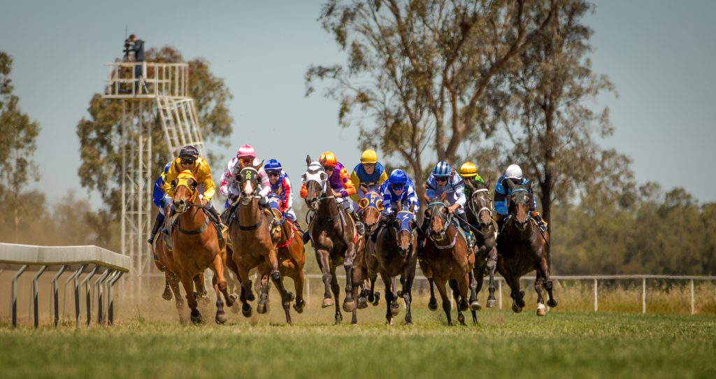 Warren Racecourse | 7267 Old Warren Rd, Warren NSW 2824, Australia | Phone: (02) 6847 3749