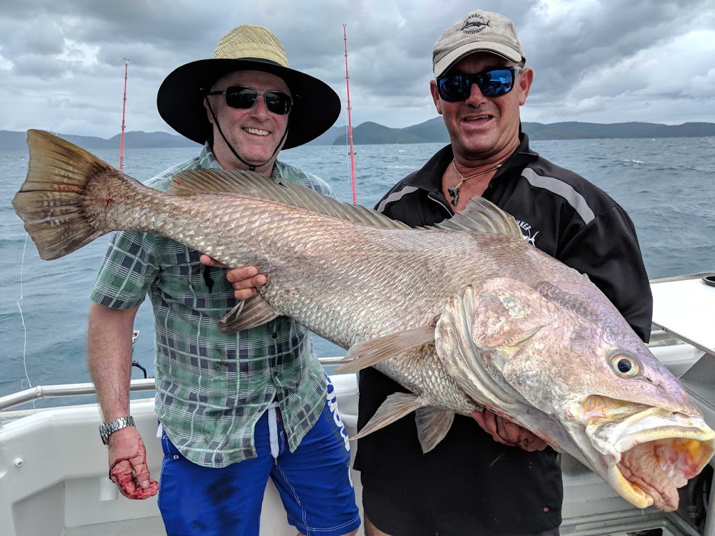 Airlie Beach Fishing Charters/Fishing Whitsundays |  | 2 Shingley Dr, Airlie Beach QLD 4802, Australia | 0427863474 OR +61 427 863 474