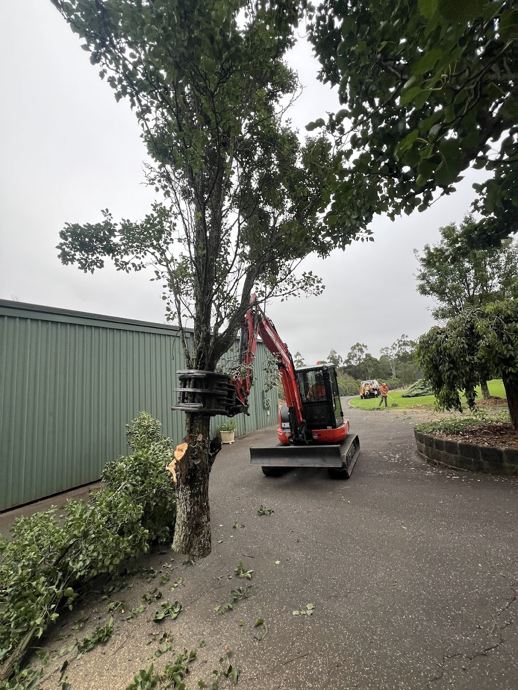Pakenham tree services | Bate Cl, Pakenham VIC 3810, Australia | Phone: 0474 762 445