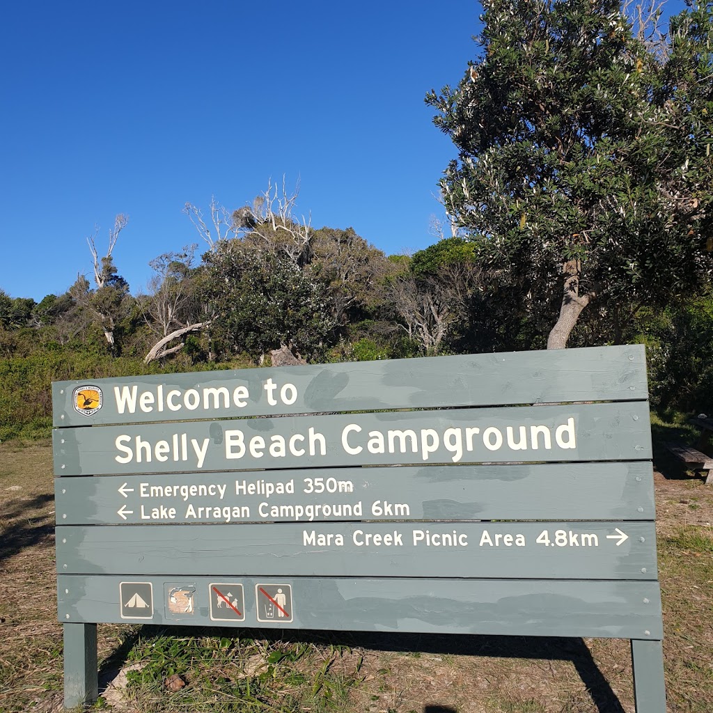 Shelley Head campground | campground | Shelley Track S, Yuraygir NSW 2464, Australia | 0266411500 OR +61 2 6641 1500