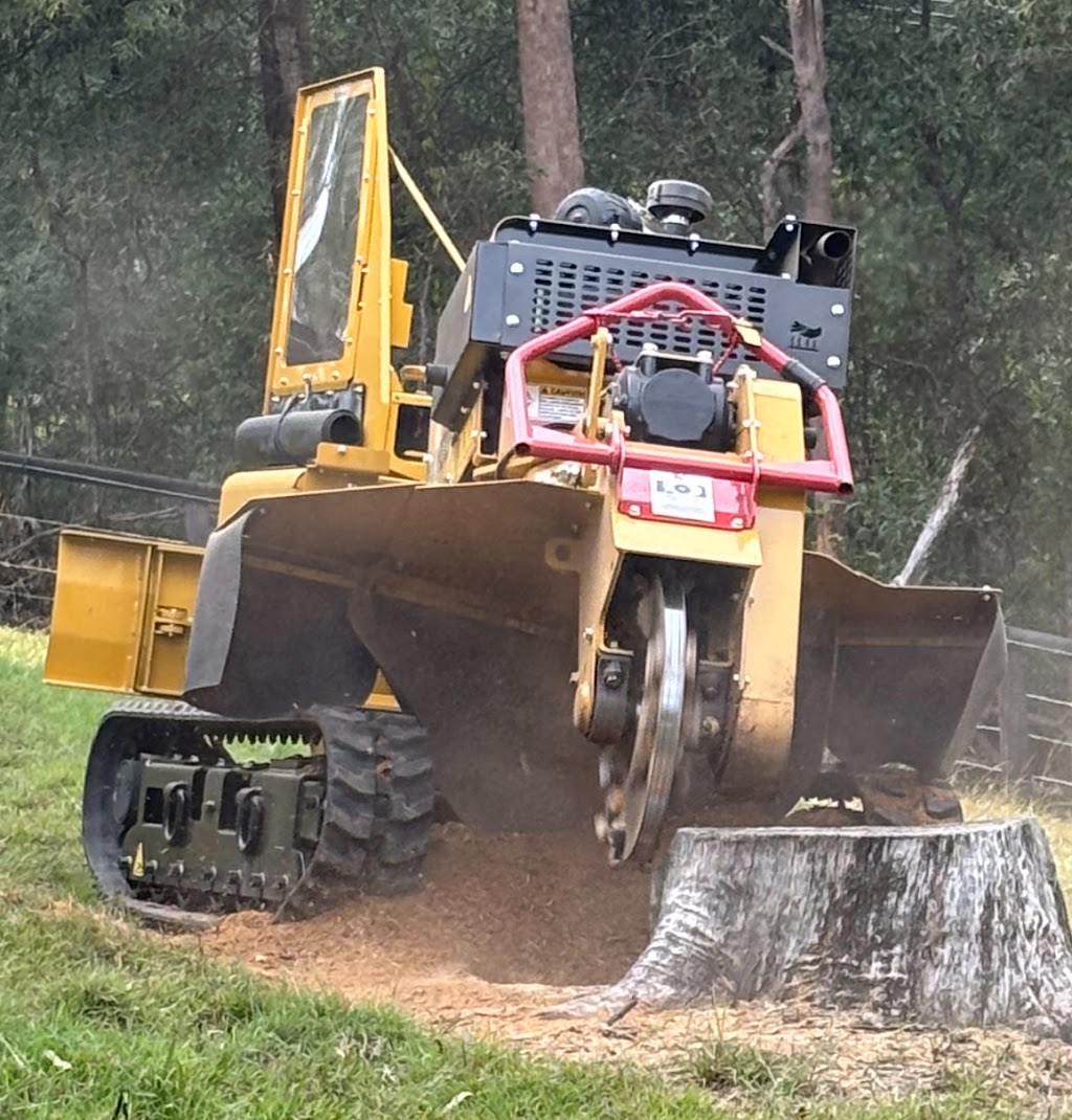 SR Stump Grinding | 46 Climax Ct, Witheren QLD 4275, Australia | Phone: 0492 070 597