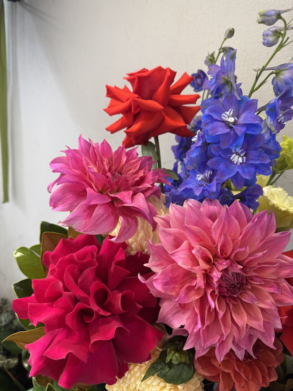 Posy Central | Bennett Rd, Colyton NSW 2760, Australia | Phone: 0451 126 394