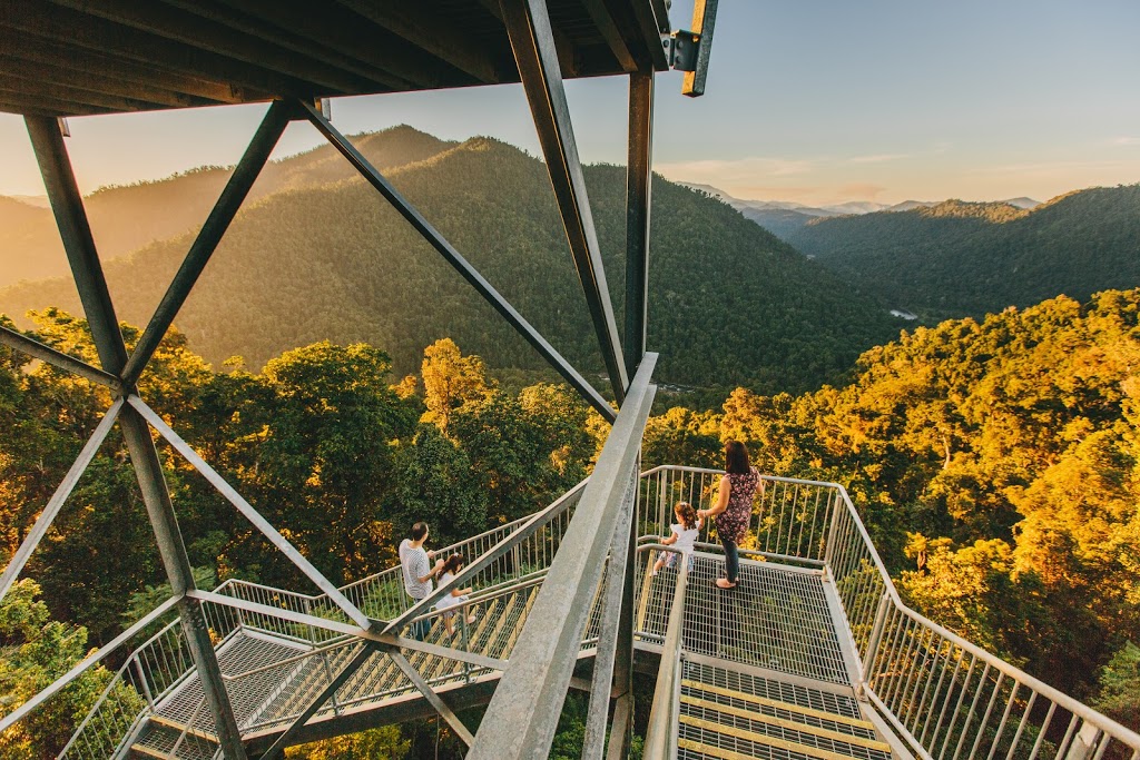 Mamu Tropical Skywalk | Palmerston Hwy, Innisfail QLD 4860, Australia | Phone: (07) 4064 5294