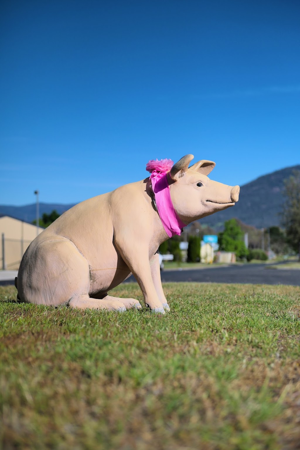 Yenda Producers Co-operative | 33 Donaldson St, Corryong VIC 3707, Australia | Phone: (02) 6076 1166