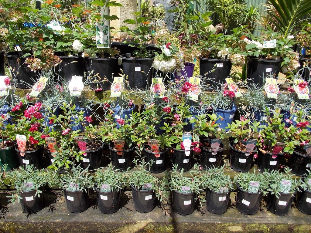 Peninsula Nursery & Garden Centre | store | 89 Port Rd, New Town SA 5554, Australia | 0888212222 OR +61 8 8821 2222