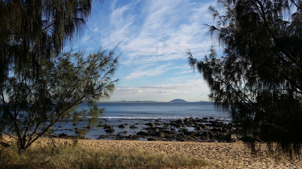 Australia Zoo Whale Encounters | 2/18 Parkyn Parade, Mooloolaba QLD 4557, Australia