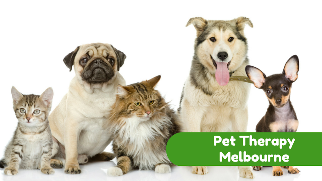 East West Veterinary Group | veterinary care | 565 South Rd, Bentleigh VIC 3204, Australia | 0395551899 OR +61 3 9555 1899